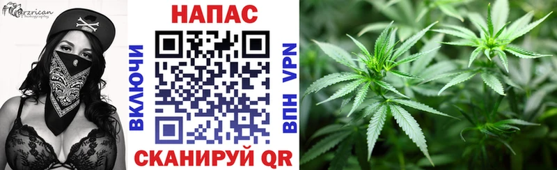 Конопля Ganja  Новоульяновск 